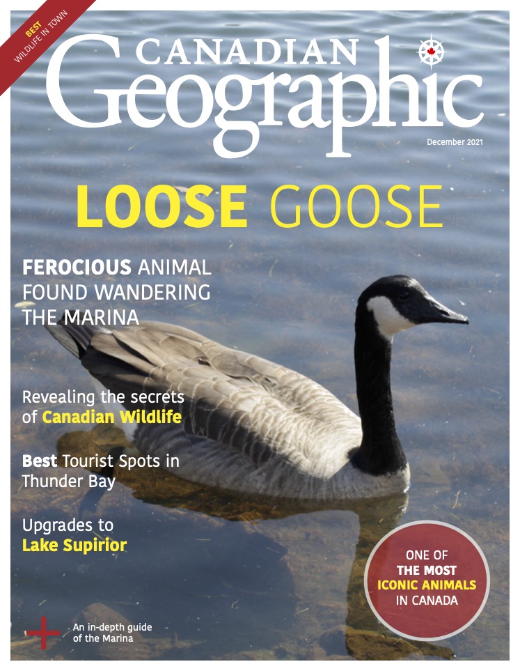 Canadian Geographic Magazine (Mock)